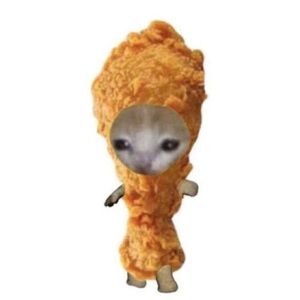 Meet your Posher, Jayden